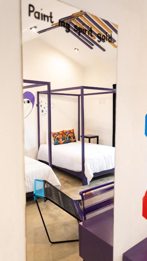Hotel Suculenta Boutique San Cristóbal de Las Casas Exteriér fotografie