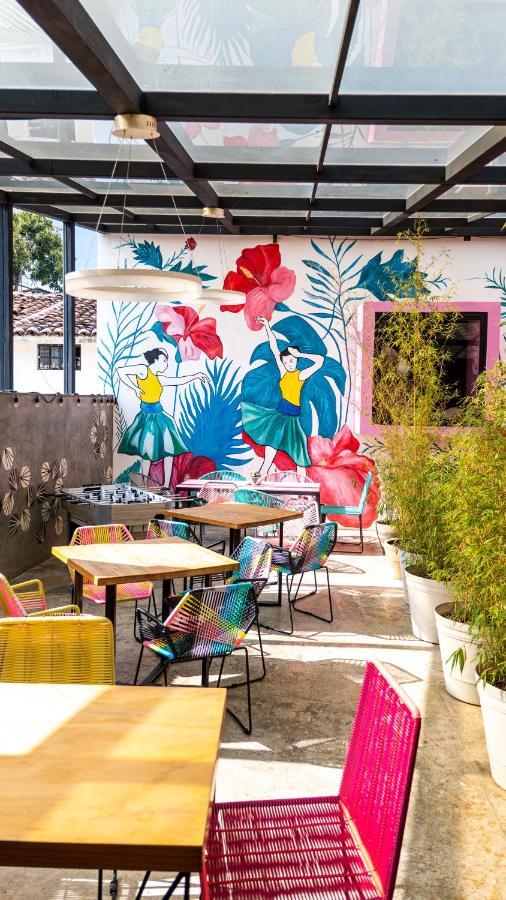 Hotel Suculenta Boutique San Cristóbal de Las Casas Exteriér fotografie