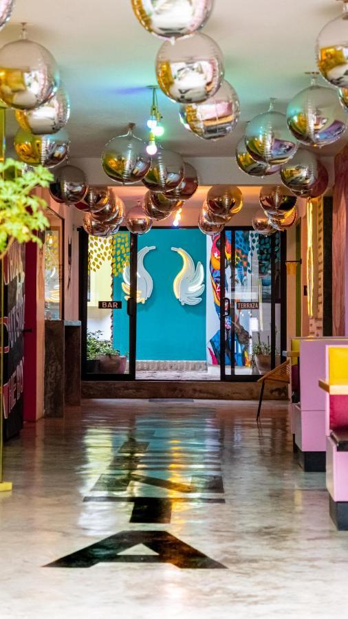 Hotel Suculenta Boutique San Cristóbal de Las Casas Exteriér fotografie